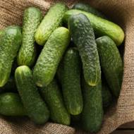 Огірок Внучок F1 за 0,25 г