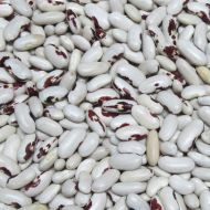 Квасоля кущова Ласточка