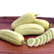 Огурец Белый ангел F1 за 0,5 г