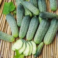 Огірок Бригадний F1 за 0,5 г