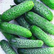 Огірок Гурман за 1 г