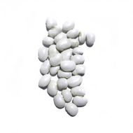 Квасоля Еурека за 20 г