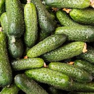 Огірок Коник горбунок F1 за 10 нас.