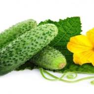 Огірок Пасадена F1 за 10 нас.