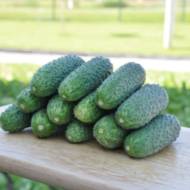 Огурец Чайковский F1 за 10 сем.