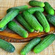 Огурец Любимчик за 1 г