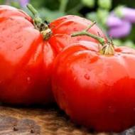 Томат Червоні куранти за 0,1 г