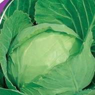 Капуста Веснянка за 1 г