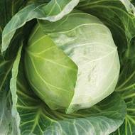 Капуста Невестка F1 за 0,5 г