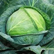 Капуста Залп F1 за 0,5 г