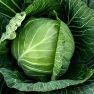 Капуста Копенгаген маркет за 0,5 г