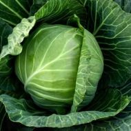 Капуста Копенгаген маркет за 0,5 г