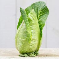 Капуста Серце бика за 0,5 г