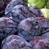 Капуста краснокочанная Каменная голова за 1 г