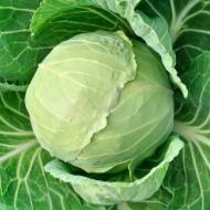 Капуста Яна за 0,5 г
