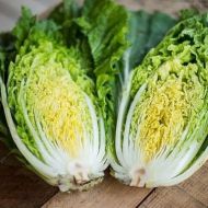 Капуста пекинская Китайский Великан за 0,5 г