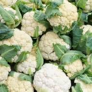 Капуста Фрідом F1 за 10 нас.