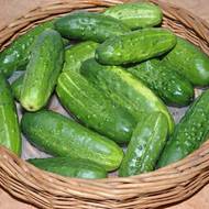 Огурец Гейм за 0,5 г