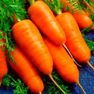 Морква Шансон супер