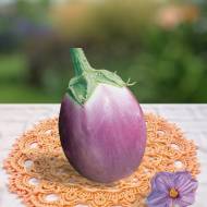 Баклажан Белый Глобус за 0,3 г