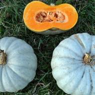 Гарбуз Ждана за 3 г