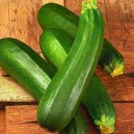 Кабачок Скворушка