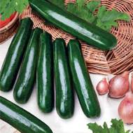 Кабачок Амбасадор за 20 г