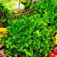 Салат Хрустальный за 1 г