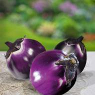 Баклажан Проспероза за 0,2 г