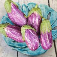 Баклажан Гандия за 0,25 г