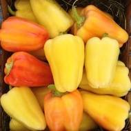 Перец Барби F1