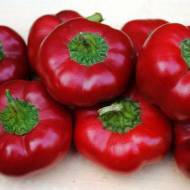 Перець Колобок червоний за 0,3 г