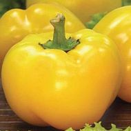 Перец Колобок желтый за 0,3 г