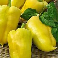 Перец Иволга за 0,3 г