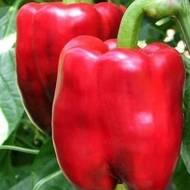 Перец Лечо за 0,3 г