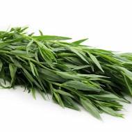 Эстрагон (Тархун) за 0,1 г