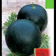 Арбуз Мишутка F1 за 0,5 г