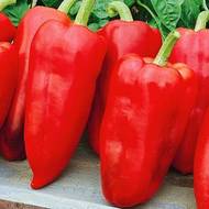 Перець Шашличний за 0,3 г