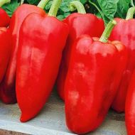 Перец Шашлычный за 0,3 г