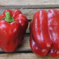 Перець Вікінг за 0,2г