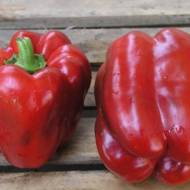 Перец Викинг за 0,3 г