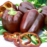 Перец Шоколадка за 0,25 г