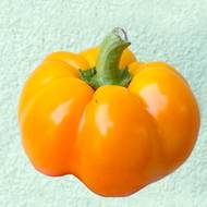 Перець Золотий ювілей за 0,3 г