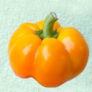 Перец Золотой юбилей за 0,3 г