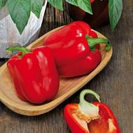 Перец Красный куб F1 за 0,25 г