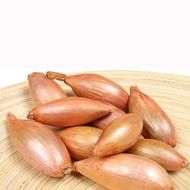 Лук Шалот Запорожский за 1 г