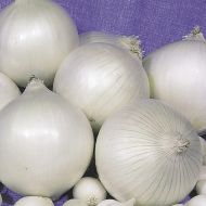 Цибуля Срібний місяць за 1 г