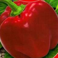 Перець Супремо Росса за 0,25 г