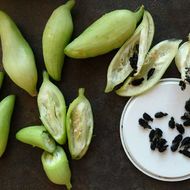 Циклантера за 0,3 г