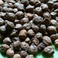 Нут черный за 5 г